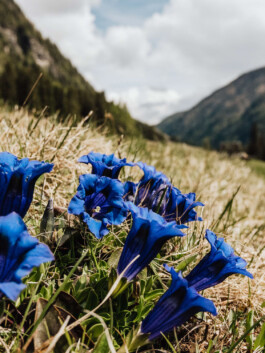 LAURA NENZ — Photography & Visual Storytelling