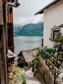 LAURA NENZ — Photography & Visual Storytelling