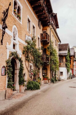 LAURA NENZ — Photography & Visual Storytelling