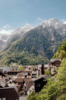 LAURA NENZ — Photography & Visual Storytelling