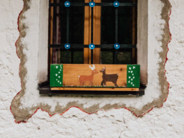 LAURA NENZ — Photography & Visual Storytelling