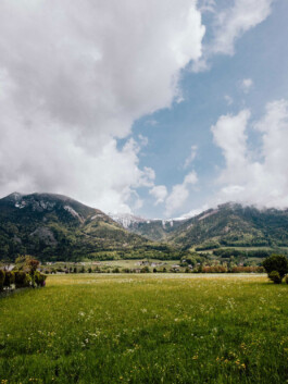 LAURA NENZ — Photography & Visual Storytelling