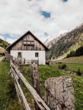 LAURA NENZ — Photography & Visual Storytelling