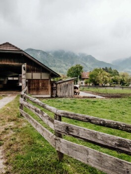 LAURA NENZ — Photography & Visual Storytelling