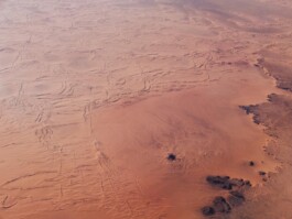 LAURA NENZ — Photography & Visual Storytelling