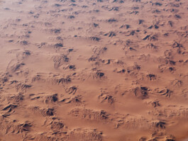 LAURA NENZ — Photography & Visual Storytelling