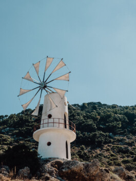 LAURA NENZ — Photography & Visual Storytelling