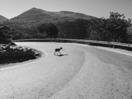 LAURA NENZ — Photography & Visual Storytelling