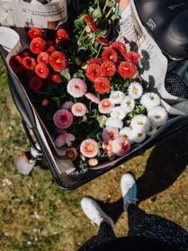 LAURA NENZ — Photography & Visual Storytelling