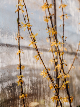 LAURA NENZ — Photography & Visual Storytelling