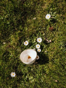 LAURA NENZ — Photography & Visual Storytelling