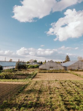 LAURA NENZ — Photography & Visual Storytelling