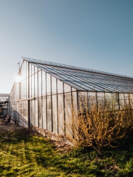 LAURA NENZ — Photography & Visual Storytelling