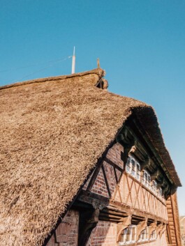 LAURA NENZ — Photography & Visual Storytelling