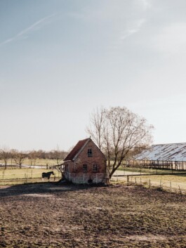 LAURA NENZ — Photography & Visual Storytelling