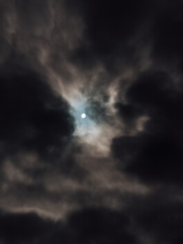 LAURA NENZ — Photography & Visual Storytelling