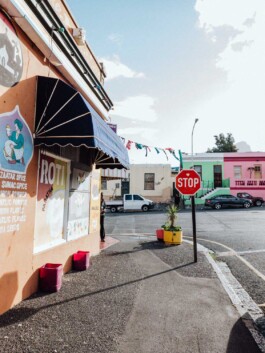 LAURA NENZ — Photography & Visual Storytelling