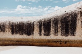 LAURA NENZ — Photography & Visual Storytelling