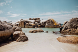 LAURA NENZ — Photography & Visual Storytelling