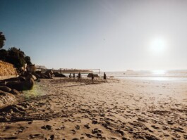 LAURA NENZ — Photography & Visual Storytelling