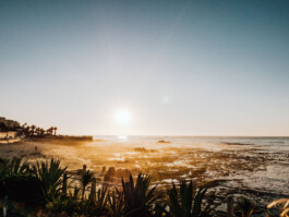 LAURA NENZ — Photography & Visual Storytelling