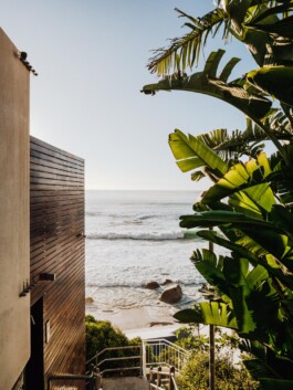 LAURA NENZ — Photography & Visual Storytelling