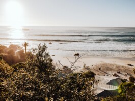 LAURA NENZ — Photography & Visual Storytelling