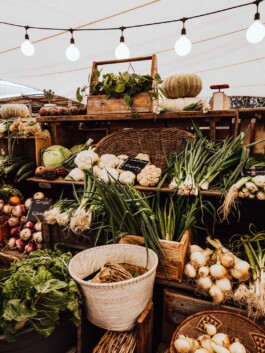 LAURA NENZ — Photography & Visual Storytelling