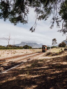 LAURA NENZ — Photography & Visual Storytelling