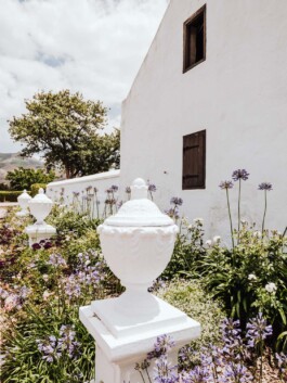 LAURA NENZ — Photography & Visual Storytelling