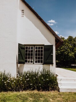 LAURA NENZ — Photography & Visual Storytelling