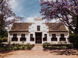 LAURA NENZ — Photography & Visual Storytelling