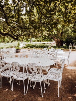 LAURA NENZ — Photography & Visual Storytelling