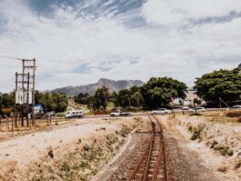 LAURA NENZ — Photography & Visual Storytelling