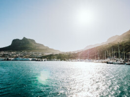 LAURA NENZ — Photography & Visual Storytelling