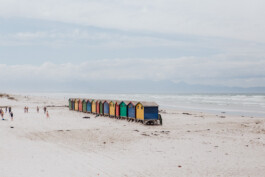 LAURA NENZ — Photography & Visual Storytelling