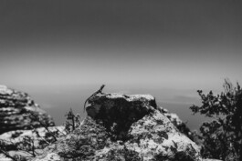 LAURA NENZ — Photography & Visual Storytelling