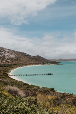 LAURA NENZ — Photography & Visual Storytelling