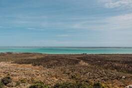 LAURA NENZ — Photography & Visual Storytelling