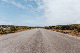 LAURA NENZ — Photography & Visual Storytelling