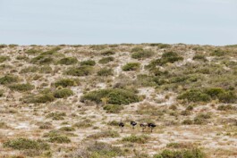 LAURA NENZ — Photography & Visual Storytelling