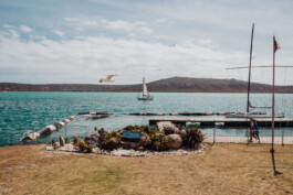 LAURA NENZ — Photography & Visual Storytelling