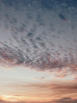 LAURA NENZ — Photography & Visual Storytelling