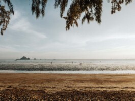 LAURA NENZ — Photography & Visual Storytelling