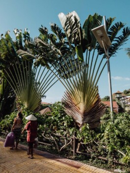 LAURA NENZ — Photography & Visual Storytelling