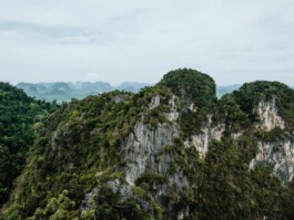 LAURA NENZ — Photography & Visual Storytelling