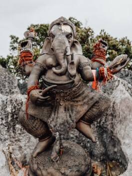 LAURA NENZ — Photography & Visual Storytelling