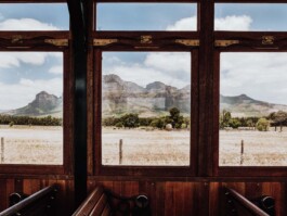 LAURA NENZ — Photography & Visual Storytelling