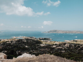 LAURA NENZ — Photography & Visual Storytelling