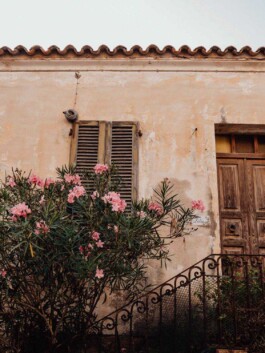 LAURA NENZ — Photography & Visual Storytelling